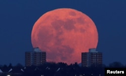 A full moon rises behind blocks of flats in north London, Britain, Jan. 31, 2018.