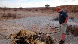 Farm manager Burger Schoeman stands over a pit of dead animals near Groblershoop, South Africa, December 6, 2019.