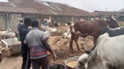 Tsada Da Rashin Cinikin Ragunar Sallah a Legas