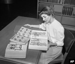In an undated file photo, a librarian at the Chicago Public Library studies early Sears Roebuck catalogs in the library's collection in Chicago.