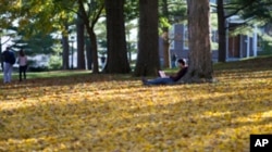 A student studies on the quad at Amherst College, a liberal arts school in western Massachusetts.
