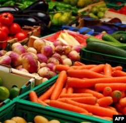 Dehqonchilikni ma'qul ko'rayotgan yosh amerikaliklar