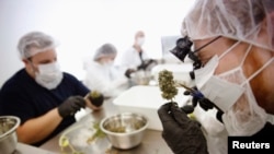 Penggunaan ganja di Kanada untuk rekreasi.