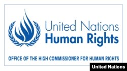 BMT-nin İnsan Haqları üzrə Ali Komissarlığı şallaq cəzasının beynəlxalq insan haqları qanununa görə qadağan olduğunu vurğulayaraq İran rəsmilərini bu “qəddar, qeyri-insani və alçaldıcı” cəzanın tətbiq edilməsinə son qoymağa çağırıb.