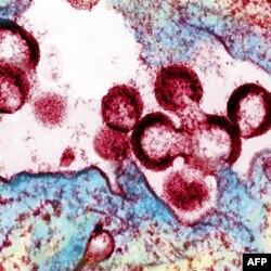 Virusga qarshi kurashni pasaytirmaslik uchun milliardlab dollar mablag' kerak