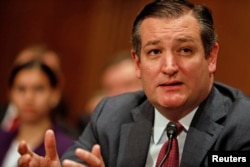 테드 크루즈 상원의원.