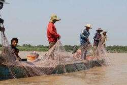 ប្រជាពលរដ្ឋនេសាទត្រីលើផ្ទៃបឹងទន្លេសាប ក្នុងតំបន់ឆ្នុកទ្រូ ស្រុកបរិបូរណ៍ ខេត្តកំពង់ឆ្នាំង កាលពីខែមីនា ឆ្នាំ២០២០។ (ស៊ុន ណារិន/វីអូអេ)