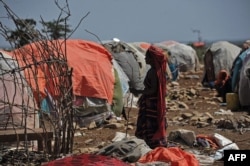 FILE - A Somali woman carries wood to make a shelter in an internally displaced people (IDP) camp, Dec. 18, 2018.