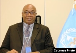 The World Health Organization's representative to Ethiopia Dr Akpaka Kalu (undated photo courtesy of WHO)