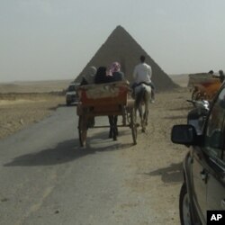 Visitors enjoy the view from the back of a cart.
