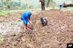 Because no chemicals are used on his farm, Haigh says there’s no harmful runoff from his land into rivers