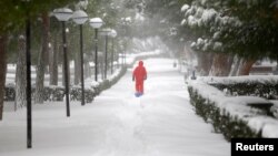 A boy walks under snow-covered trees during a snowfall in Istanbul, Turkey, Jan. 7, 2017.