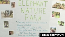 Miriam Gardsbane's sign about Elephant Nature Park