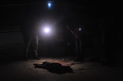 Somalida al-Shabab terrorchilariga qarshi AQSh hujumidan keyingi manzara, 5-noyabr, 2016