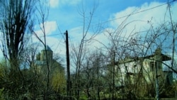 ზარდიანთკარიდან არბოსკენ მიმავალი გზა. საქართველო