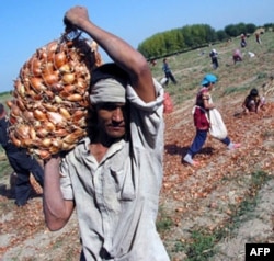 Markaziy Osiyo: Ish yo'q, odamlar qanday kun ko'rmoqda?