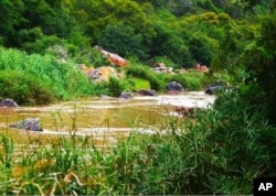 Environmentalists say South Africa’s Great Fish River region was once home to the largest elephant herds in Africa