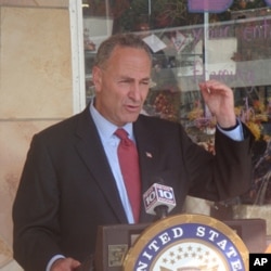 纽约州民主党联邦参议员查克·舒默