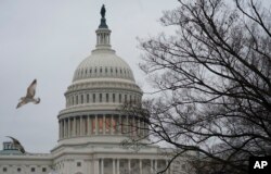 미 연방의사당. 도널드 트럼프 미국 대통령과 민주당의 국경장벽 예산안 합의 도출 실패로 지난 22일 미국 연방 정부 일부가 폐쇄됐다.