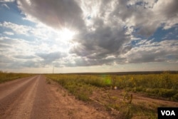 New Mexico's Route 66