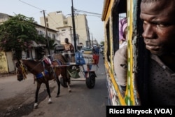 A passenger looks out the window of a car rapide as a horse cart passes in Dakar, Senegal. (R. Shryock/VOA)