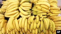 The word "banana" is believed to be of Wolof origin.