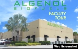 遭到黑客攻击的美国海藻生物燃料公司（图片来自该公司发布的视频）