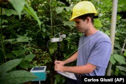 In this February 13, 2019 photo, project technician Robert Tunison collects plant physiology data inside the El Yunque tropical rainforest, in Rio Grande, Puerto Rico.