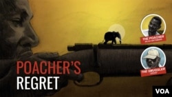 Click the image to read VOA's special report.