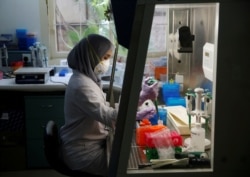 Seorang petugas laboratorium sedang menyiapkan medium untuk menumbuhkan virus di laboratorium Lembaga Biologi Molekuler Eijkman di Jakarta, 31 Agustus 2016. (Foto: Reuters)