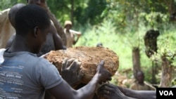 Miners prepare to transport a particularly large rock containing gold ore, Oct. 2012.