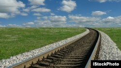 You can call these train tracks, railroad tracks or railway tracks.