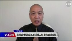 资料照：独立时评人鲁难在接受美国之音卫视的采访。