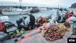At the harbor in Skala Sikamineas on the Greek island of Lesvos, volunteers for the Refugee Rescue team carry out maintenance on their boat. (J. Owens/VOA)