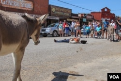 Actors stage Wild West shootout in Oatman, Arizona