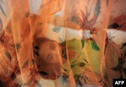 FILE - Dengue patient Ritika Srivastava, 22, lays on a bed covered with a mosquito net in the dengue ward of a government hospital in Allahabad, India.