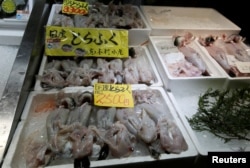 Gutted and cleaned pufferfish are displayed for sale at Karato fish market in Shimonoseki, southern Japan November 13, 2018. Picture taken November 13, 2018. (REUTERS/Mari Saito)