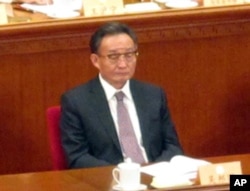 人大委员长吴邦国在今年“两会”上