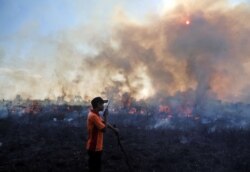 Kebakaran hutan di Sumatra bulan Juli tahun 2015 (foto: dok).