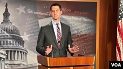 تام کاتن، سناتور جمهوری‌خواه 