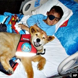 Children loved Baxter