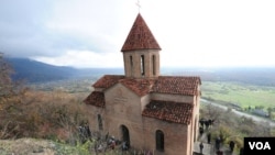 ქურმუხი