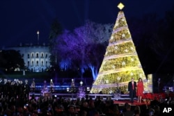 Trump Christmas Tree