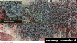 Amnesty International released this satellite photo accusing Boko Haram of attacks in Baga.