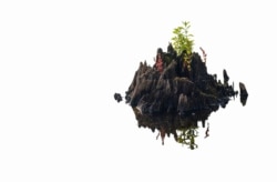 This image released by Venezuelan artist Irene Pressner shows a photography piece called "We Are Not Islands." The Venezuelan artist, a COVID-19 survivor who lost her husband to the virus, is creating new works inspired by her experience. (Irene Pressner via AP)