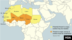 Perceived risk or threat of locust infestations, October 2012.