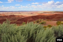 Arizona's Painted Desert National Park