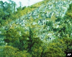 逃港死难者的坟