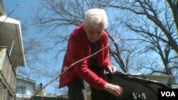 85 yoshli Fillis Ramberg uy yumushlari bilan band