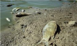 خشکسالی در استان مازنداران